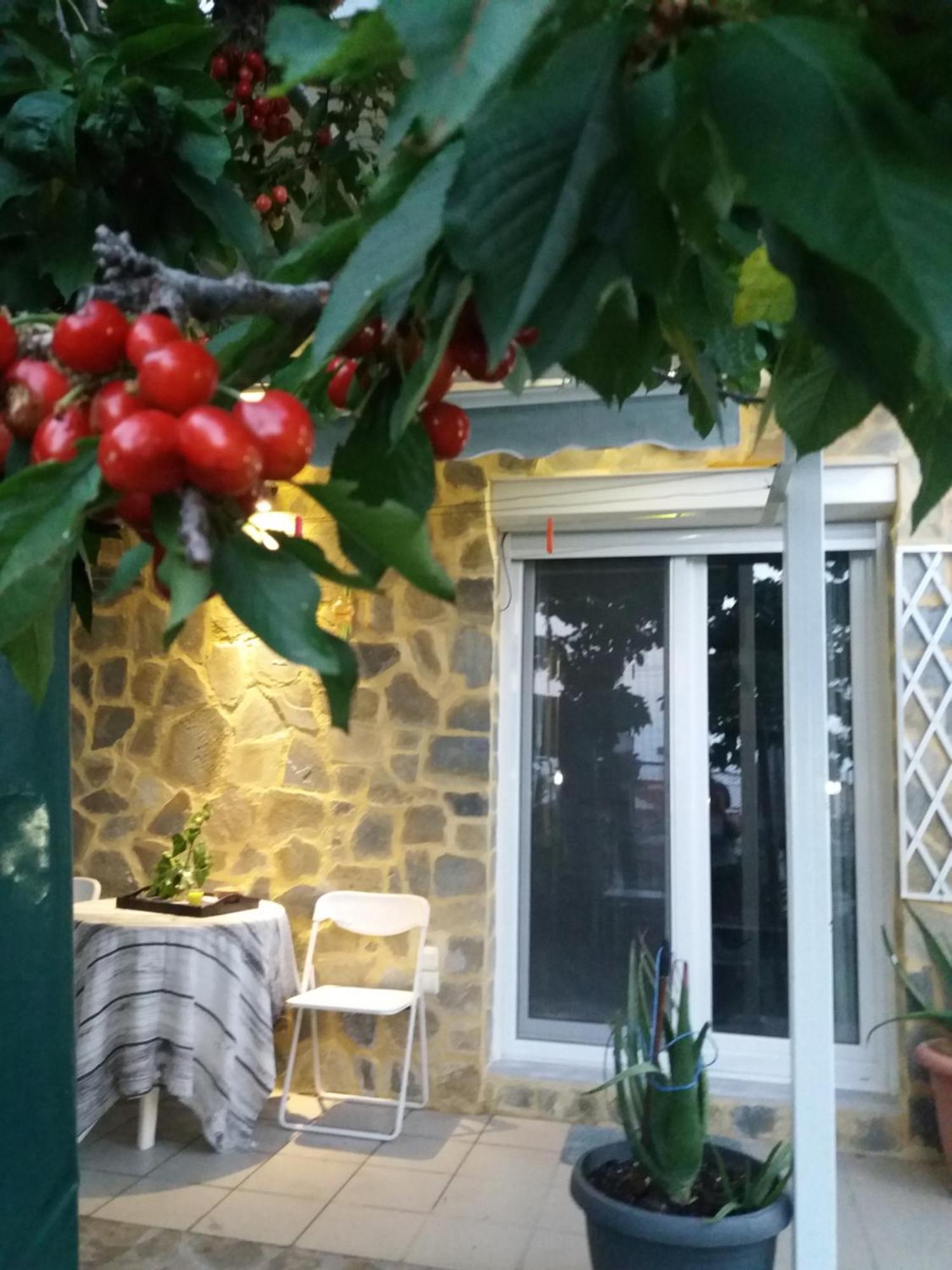 Garden'S House Apartment Kavála Exterior photo